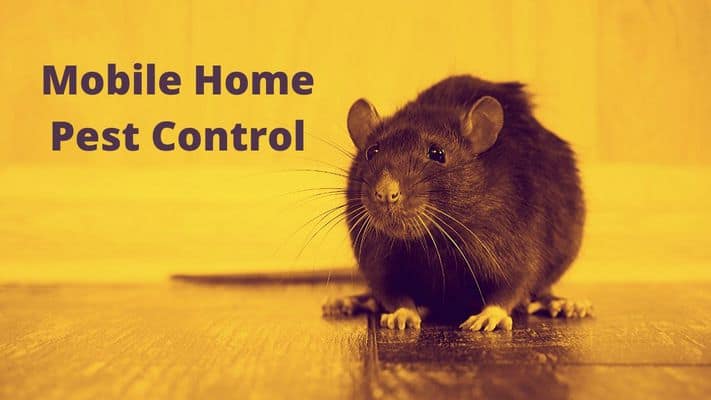 mobile home pest control