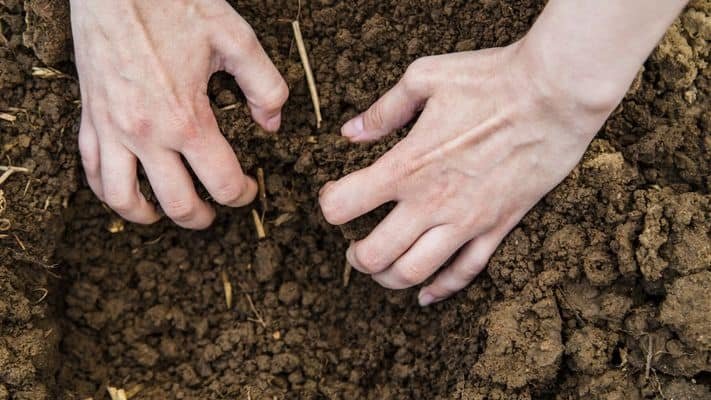 prepare the ground under the pier