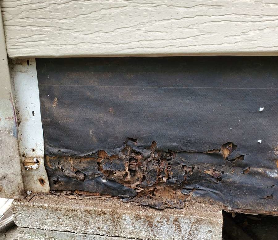 initial view of damage to sheathing