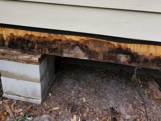 sheathing damage to be repaired