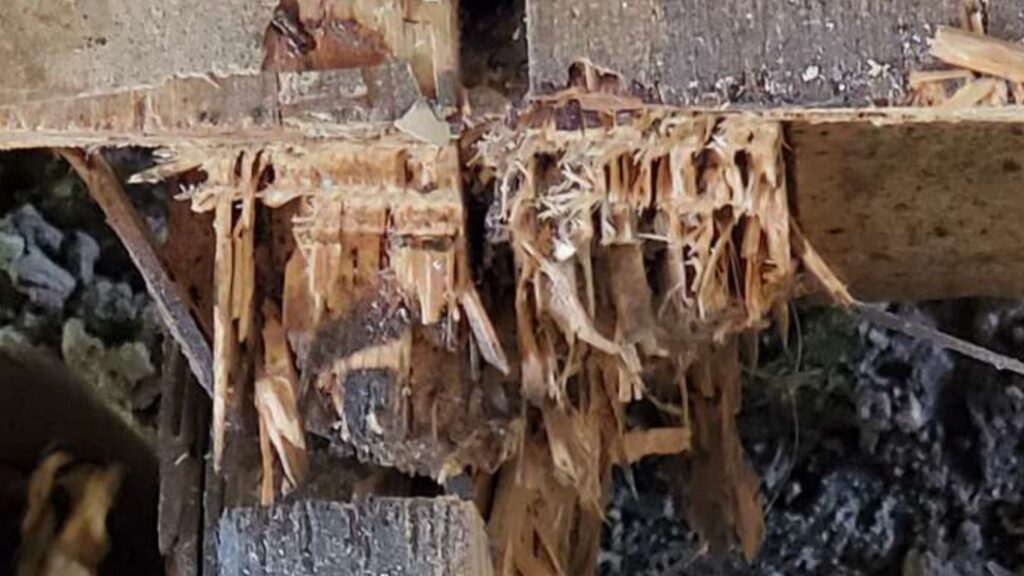 broken center sill to replace